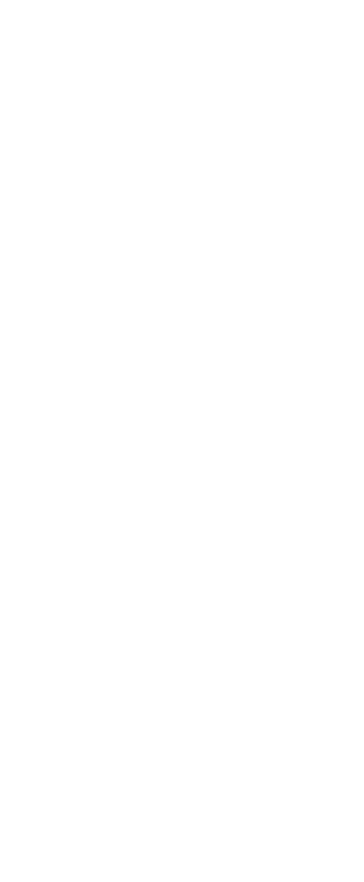 Motul Racing steckt in den Genen